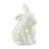 Spring Bunny LED Light Sitter