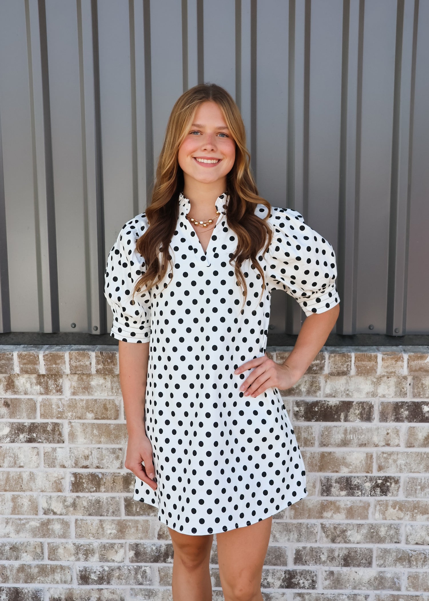 Ruffle V-Neck Puff Sleeve Polka Dot Mini Dress