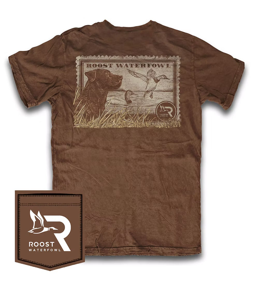 Youth Brown Lab Stamp Tee