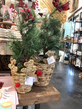 Reindeer Pot Frasier Fir Tree