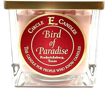 Circle E 22 Oz Candle