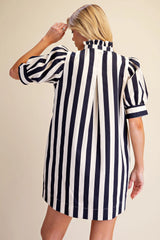 Lisa Navy Striped Dress