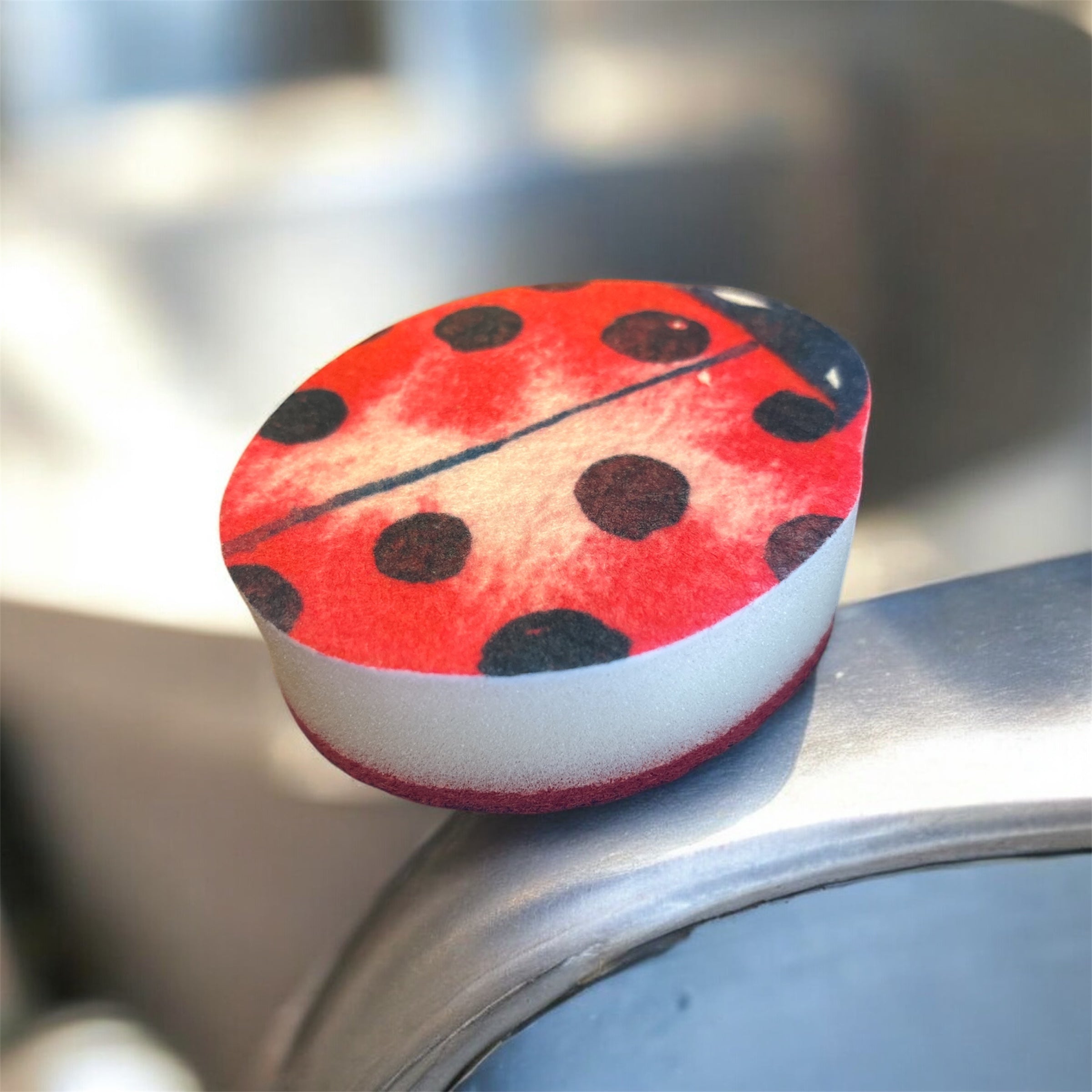 Lady Bug Sponge