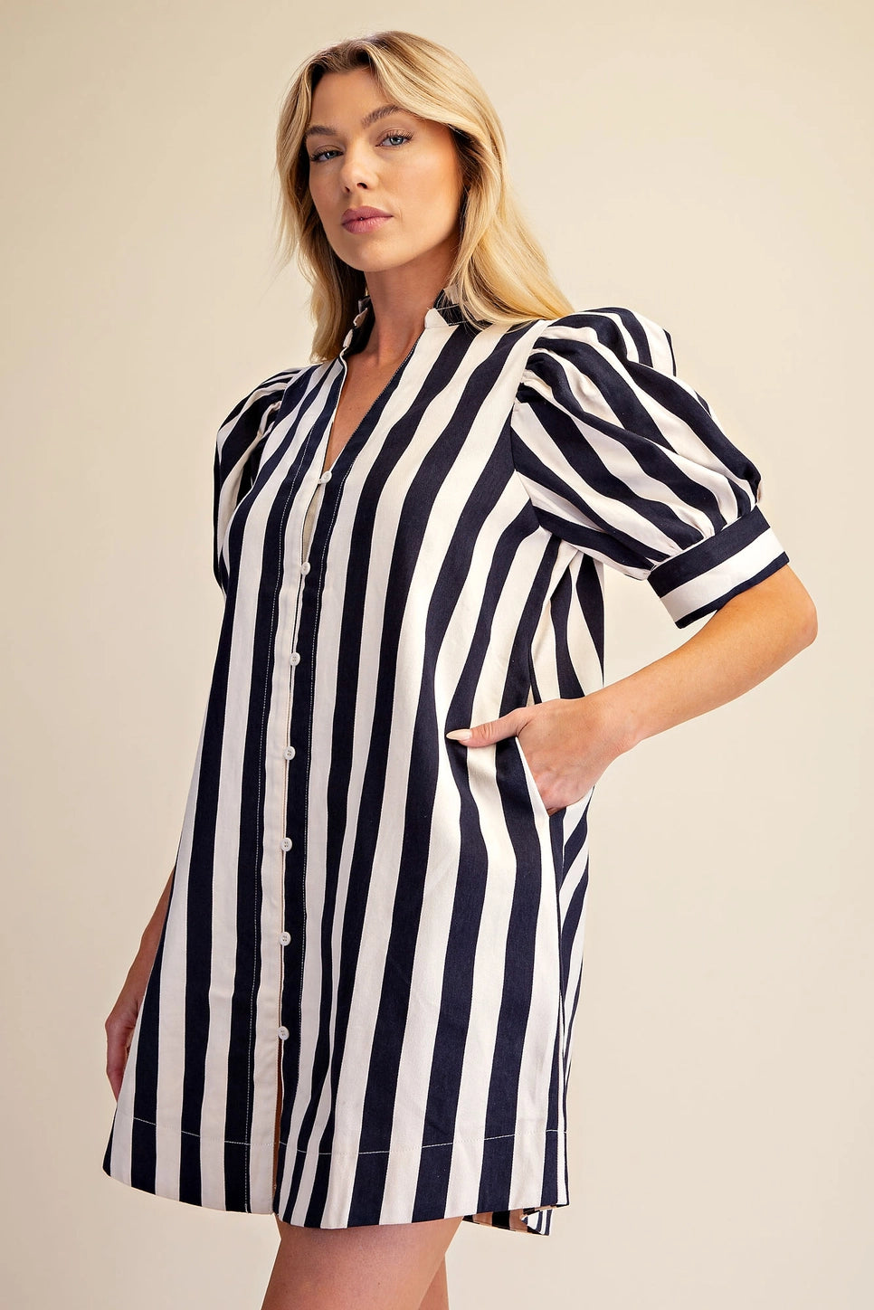 Lisa Navy Striped Dress