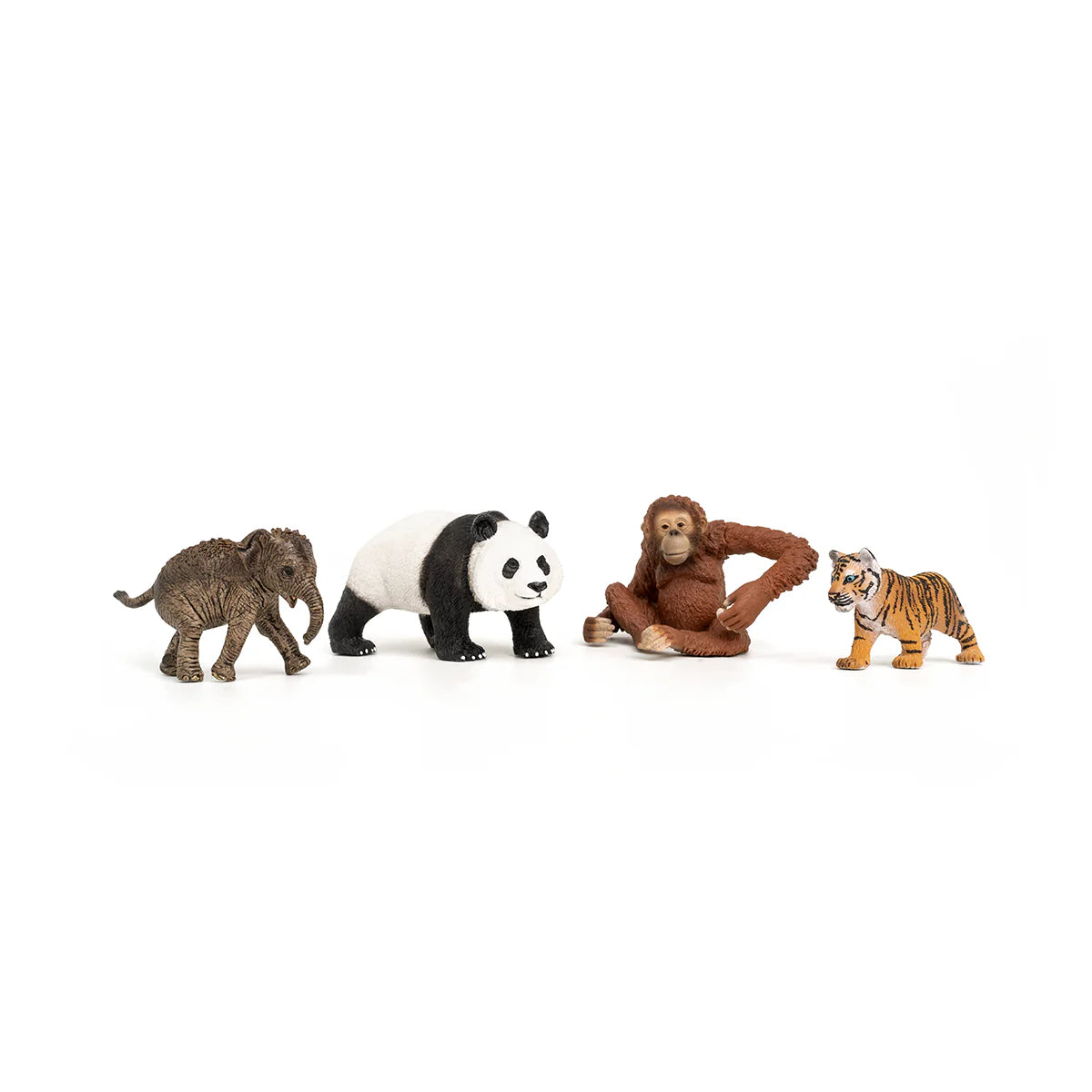Wild Life Asia Animal Toy
