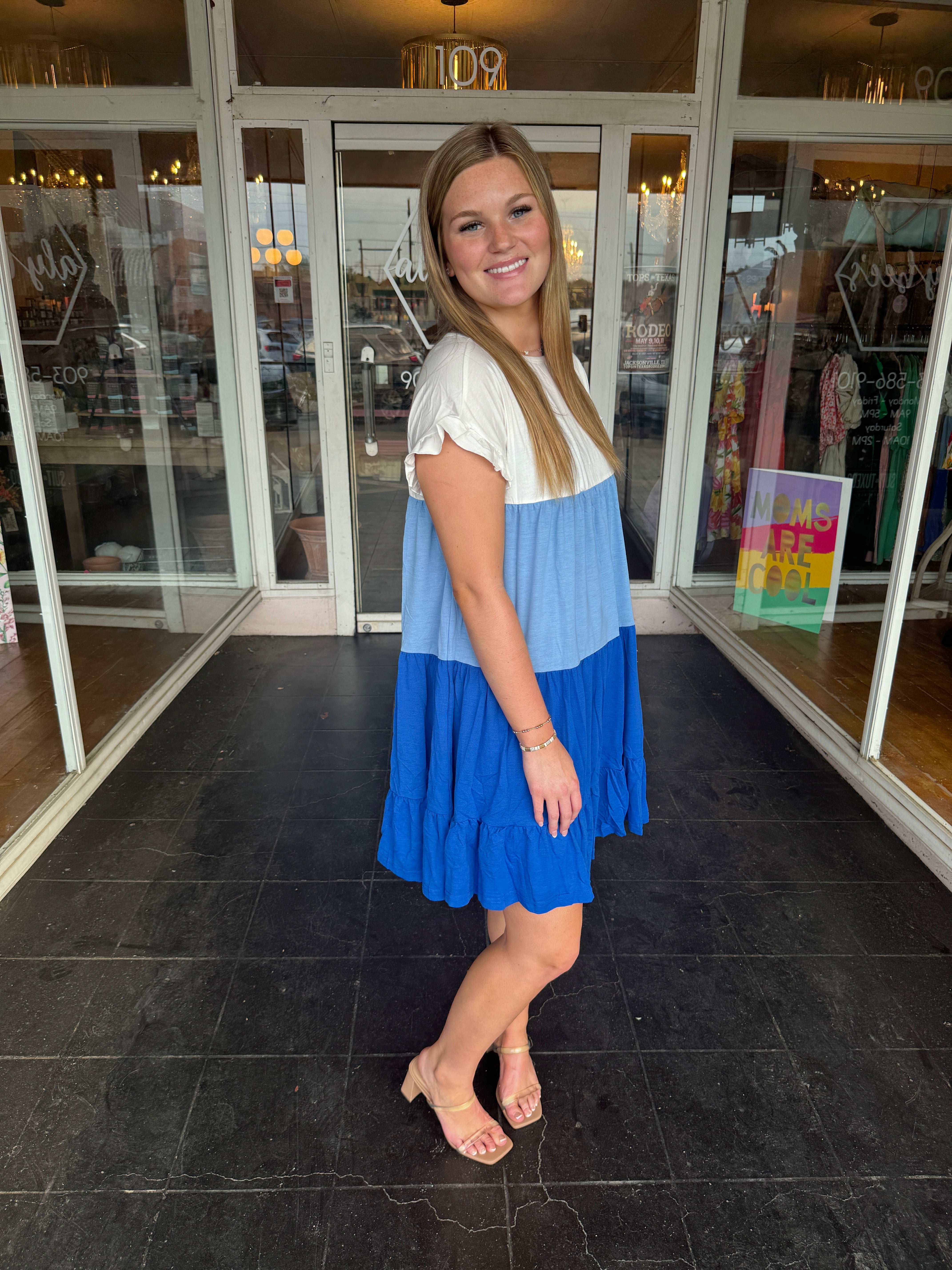 Colorblock Blue Swing Dress